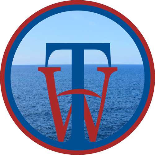 logo Tega World Solutions